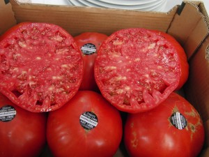 tomate h toro